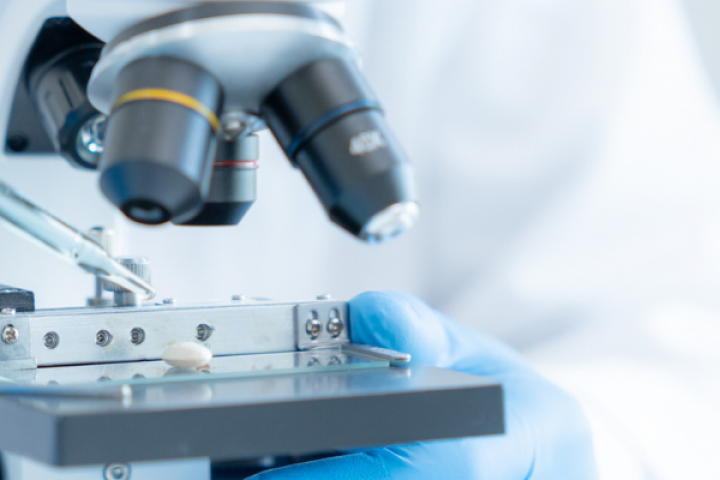 Nederland in 2040 in mondiale kopgroep innovatie en toepassing biotechnologie